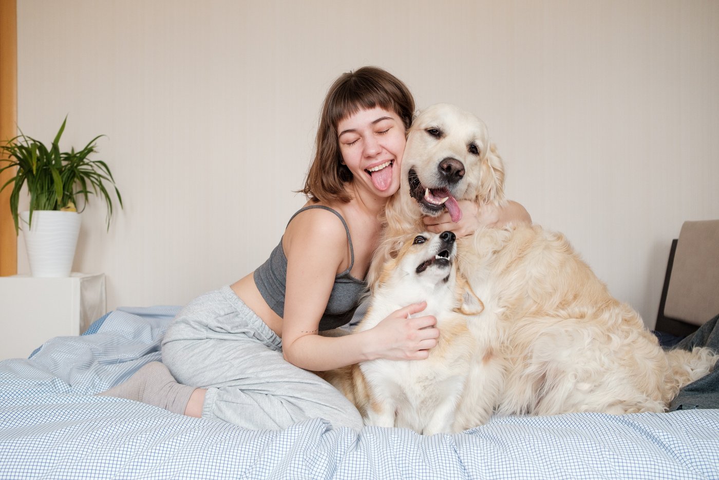 Woman with Dogs 